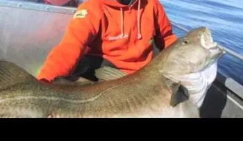 Hombre resucita, un pescado rompe récord, hombre perseguido por zombies, mujer gana concurso a los 65 años (VIDEO)