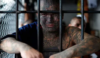 Los logros de Trump en la guerra contra las maras