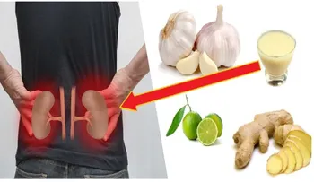 Un remedio alemán utilizado durante siglos para limpiar las arterias, eliminar el colesterol malo y los cálculos renales