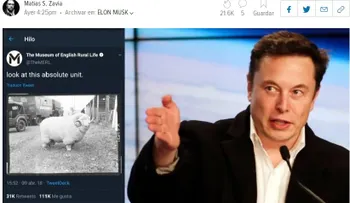 Crea un tuit viral y Elon Musk lo contrata como community manager de Tesla