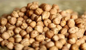Garbanzos rostizados con un toque picante