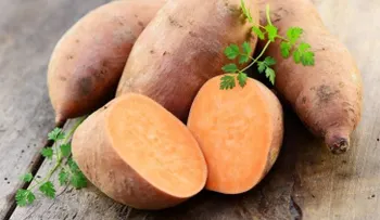 10 superalimentos con los que adelgazarás hasta diez veces más