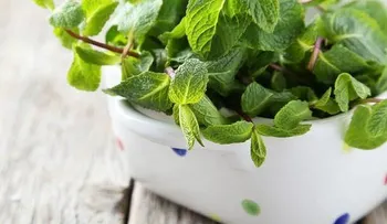 Infusión de menta luego de comer y sus beneficios para el cuerpo