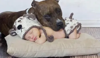 4 consejos que preparan a tu mascota para la llegada del bebé