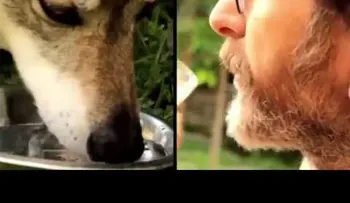 El hombre y la loba que tienen una poderosa amistad
