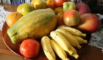 Errores más comunes a la hora de hacer dieta