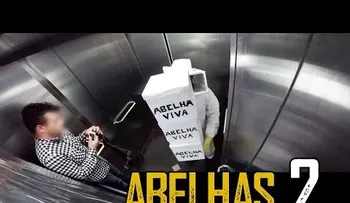 La broma de las abejas, buenìsima  (VIDEO)