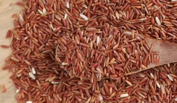 Levadura roja de arroz, secreto que tenían oculto para controlar el colesterol
