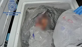 Mató a su hermano y guardó los restos en el freezer