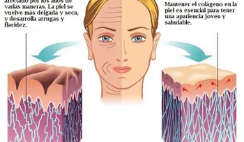 7 suplementos para llenar la piel de vitalidad y belleza 