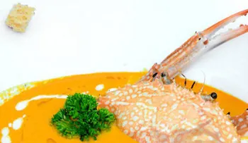 Sabrosa sopa de cangrejo con hinojo