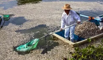 Toneladas de peces muertos en lago mexicano 