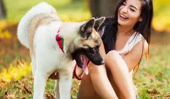 Los perros y los sorprendentes beneficios de pasear con ellos cada día