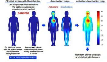 Mapas distribución emociones en el cuerpo humano
