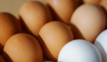 FDA eleva a Clase 1 la alerta por 19 millones de huevos retirados por contaminación con salmonela en Texas