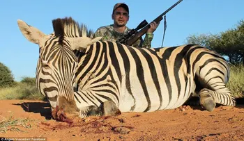 "La carne más rica es la de jirafa": un politico sueco que caza animales salvajes indigna a la Red
