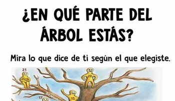 Dime en ¿qué parte del árbol estás? 