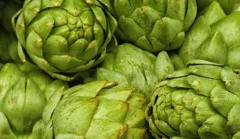 10 ayudaditas naturales para bajar de peso