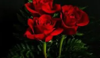 Si no lo sabías, el rojo es el color más sexy para vestir, la ciencia lo afirma
