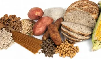 ¿Qué carbohidratos puedo comer sin subir de peso?
