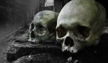 La enigmática isla paradisíaca en donde los visitantes son asesinados