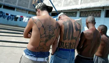 MS-13, la violenta pandilla transnacional que está en el radar del FBI