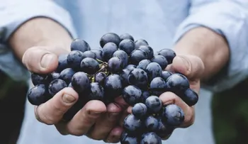 Estos son los 10 beneficios de comer uvas