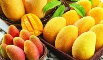 No sabías que el mango tenía tantos beneficios para la salud