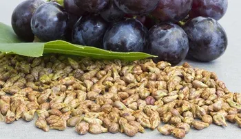 Descubre el poder anticancerígeno de las semillas de uvas