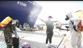 Dominicanos varados en cruceros regresarán este fin de semana