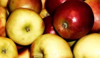 Adelgaza en 7 días sólo con Vinagre de Manzana  (Video)