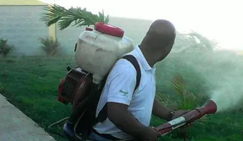 Inician plan de fumigación para prevenir el zika