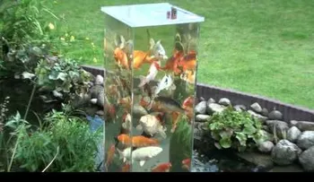 Colocó su tanque al revés y ahora mira lo que hacen los peces adentro (VIDEO)