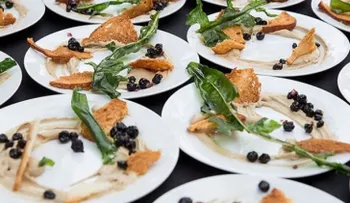 10 alimentos para mejorar la capacidad intelectual