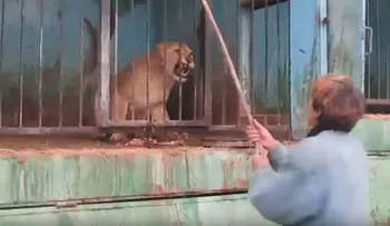 Imágenes de animales desamparados conmocionan la Red
