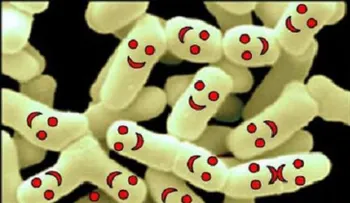 Los 10 beneficios de las bacterias para la salud