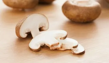 13 alimentos que combaten el cáncer