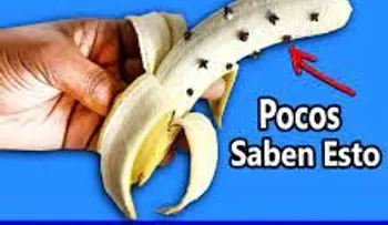 Banana con Clavos de Olor; una mezcla perfecta. Porque no lo supe antes
