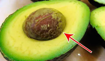 La semilla aguacate: contra el cáncer, perder peso, úlceras y estreñimiento; por qué no me lo dijeron antes 