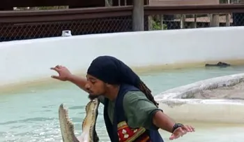 Caimán toca la puerta de una casa en Florida en la madrugada