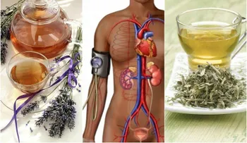 Las mejores infusiones para bajar la tensión