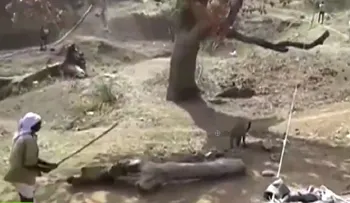 Video: la impresionante batalla entre un hombre y un leopardo