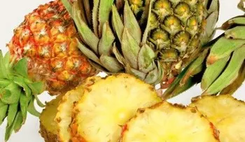 7 alimentos que no pueden faltar en tu dieta