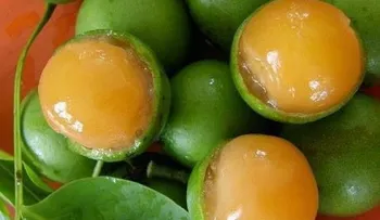 Muere niño de 5 años al atragantarse con semilla de limoncillo