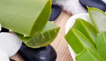 Remedios caseros con aloe vera que debes conocer