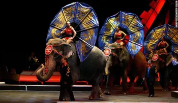 Adiós al circo: El Ringling Bros. cierra tras más de 100 años en operación
