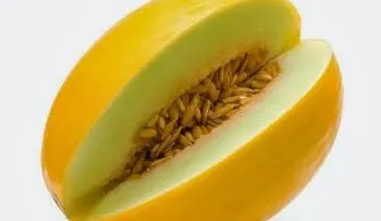 Lo que aporta el melón a tu salud
