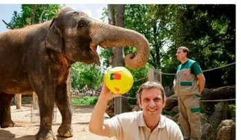 El elefante Zella pronostica al campeón de la Eurocopa 2016