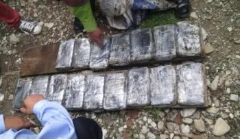 La DNCD ocupa una cantidad indeterminada de drogas en finca de San Cristóbal 