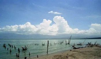 Hallan muerto en el Lago Enriquillo enfermo mental que hoy mató dos 